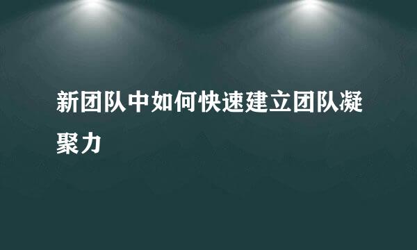 新团队中如何快速建立团队凝聚力