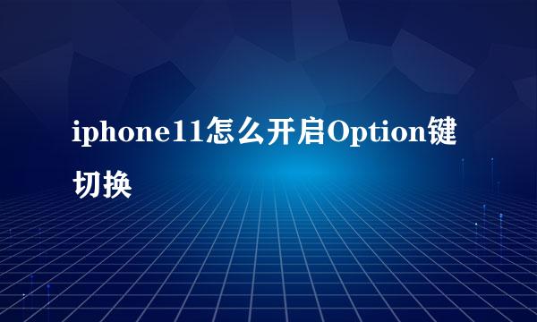 iphone11怎么开启Option键切换