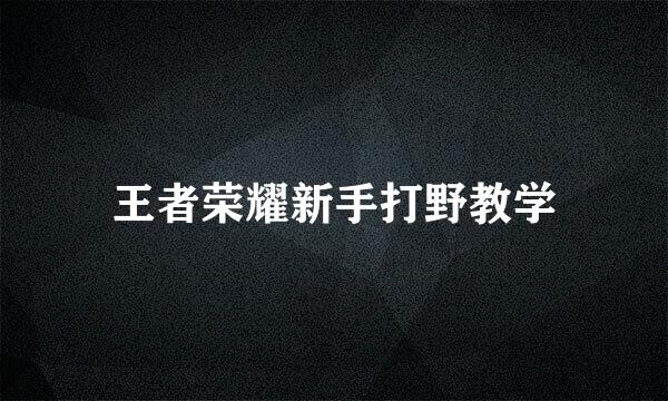 王者荣耀新手打野教学
