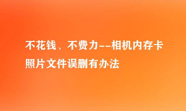 不花钱、不费力--相机内存卡照片文件误删有办法