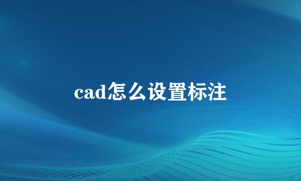 cad怎么设置标注