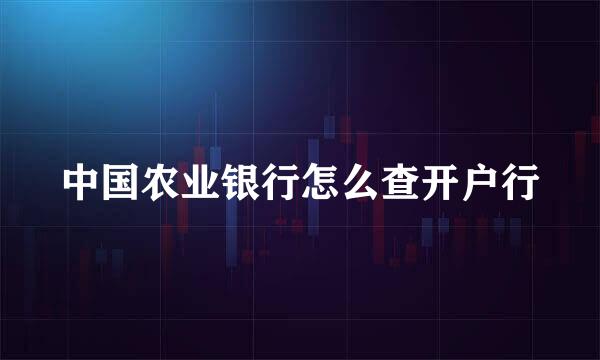 中国农业银行怎么查开户行