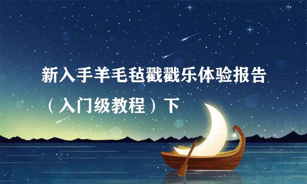 新入手羊毛毡戳戳乐体验报告（入门级教程）下