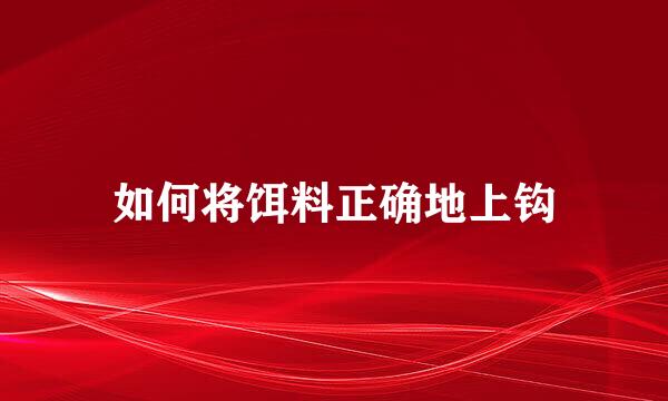 如何将饵料正确地上钩