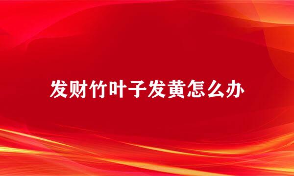 发财竹叶子发黄怎么办