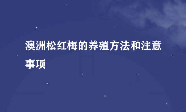 澳洲松红梅的养殖方法和注意事项