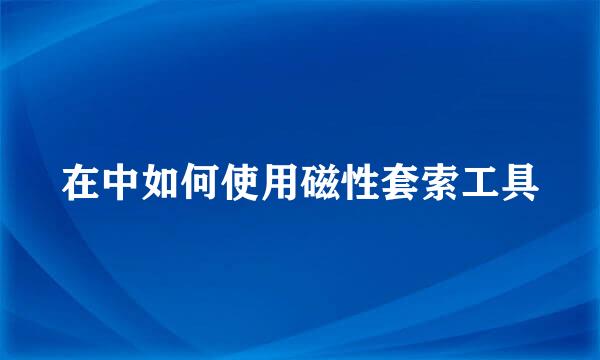 在中如何使用磁性套索工具