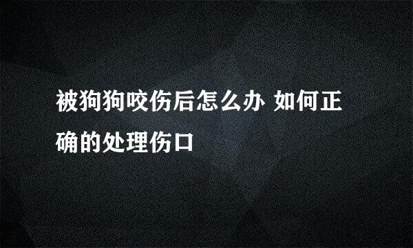 被狗狗咬伤后怎么办 如何正确的处理伤口