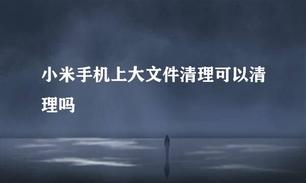 小米手机上大文件清理可以清理吗
