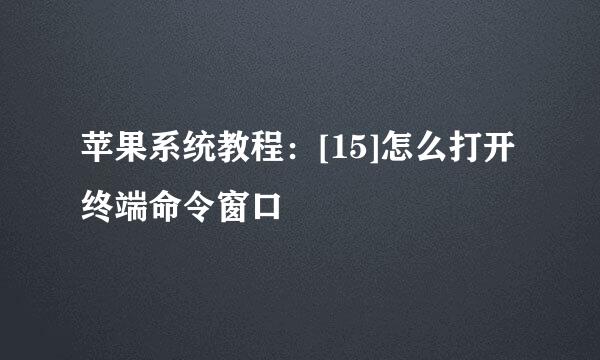 苹果系统教程：[15]怎么打开终端命令窗口