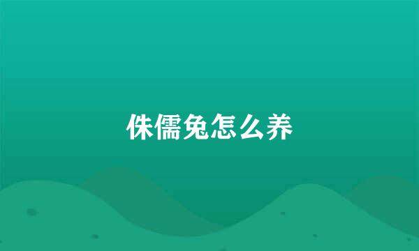 侏儒兔怎么养