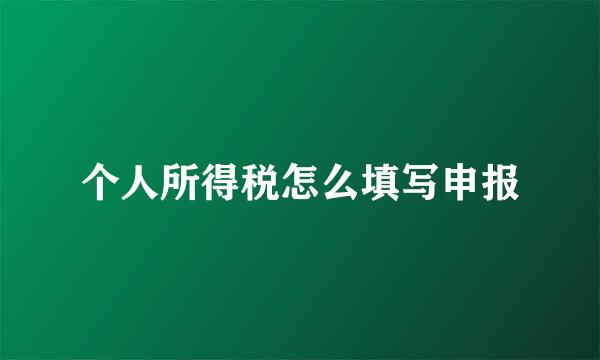 个人所得税怎么填写申报