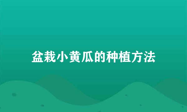 盆栽小黄瓜的种植方法