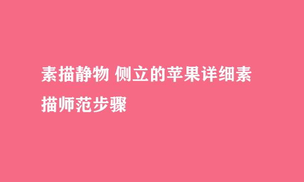 素描静物 侧立的苹果详细素描师范步骤