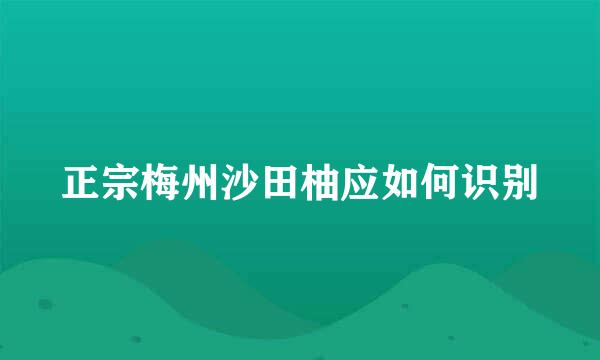 正宗梅州沙田柚应如何识别
