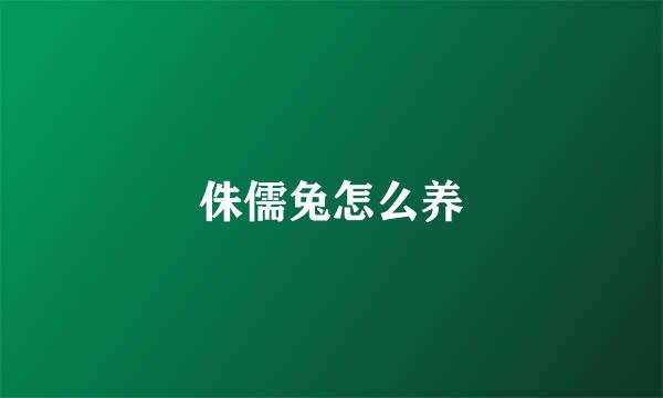 侏儒兔怎么养