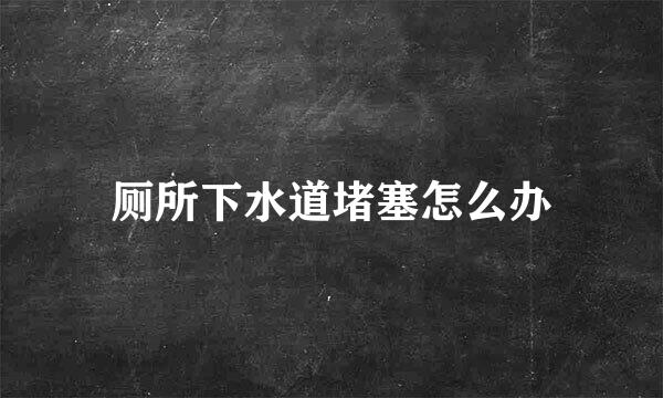厕所下水道堵塞怎么办