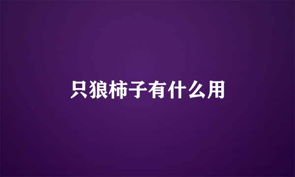 只狼柿子有什么用