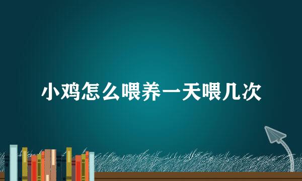 小鸡怎么喂养一天喂几次