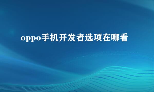 oppo手机开发者选项在哪看