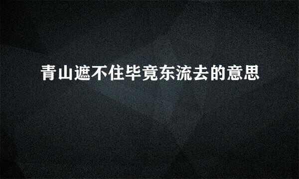 青山遮不住毕竟东流去的意思