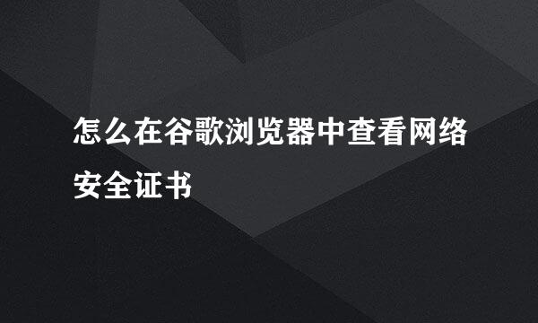 怎么在谷歌浏览器中查看网络安全证书