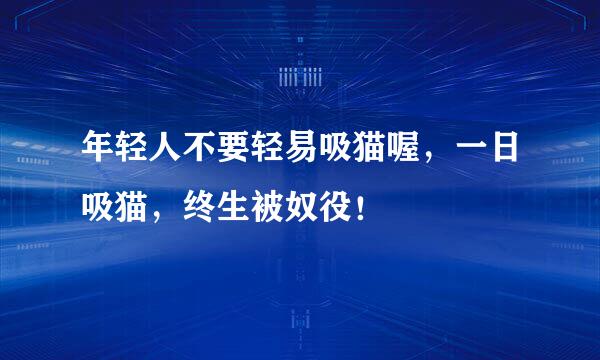 年轻人不要轻易吸猫喔，一日吸猫，终生被奴役！