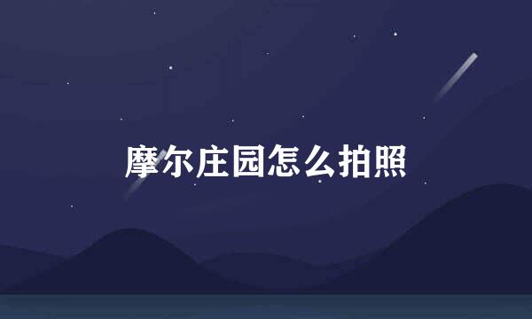 摩尔庄园怎么拍照