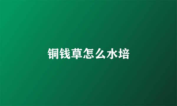 铜钱草怎么水培