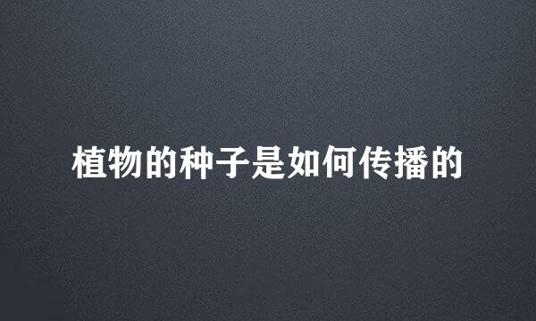 植物的种子是如何传播的