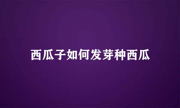 西瓜子如何发芽种西瓜