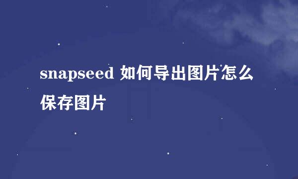 snapseed 如何导出图片怎么保存图片