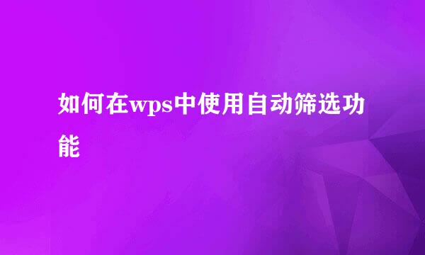 如何在wps中使用自动筛选功能