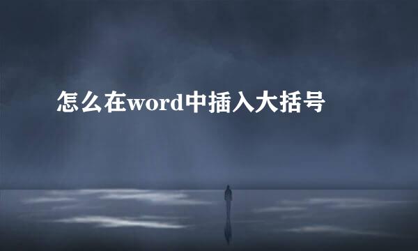 怎么在word中插入大括号