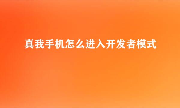 真我手机怎么进入开发者模式