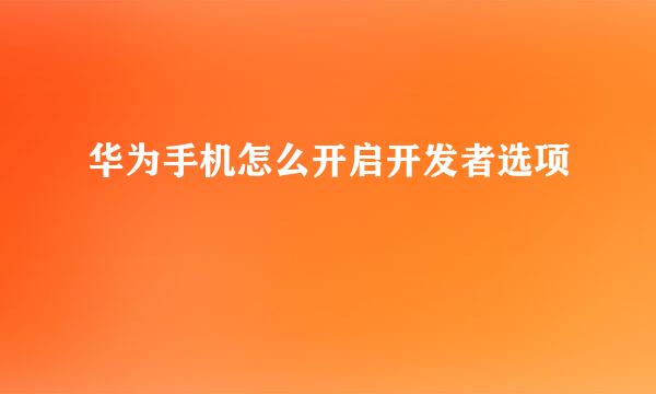 华为手机怎么开启开发者选项