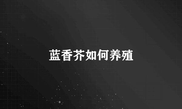 蓝香芥如何养殖