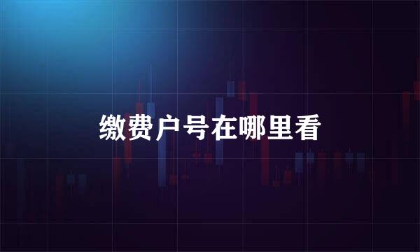 缴费户号在哪里看