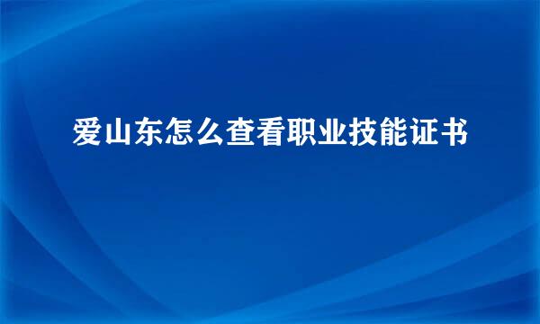 爱山东怎么查看职业技能证书