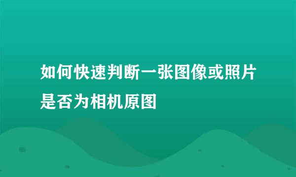 如何快速判断一张图像或照片是否为相机原图