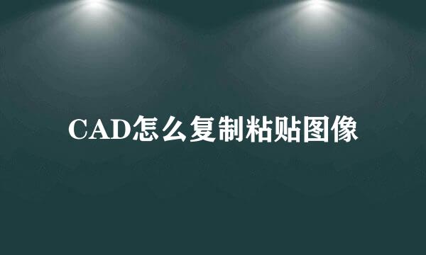 CAD怎么复制粘贴图像