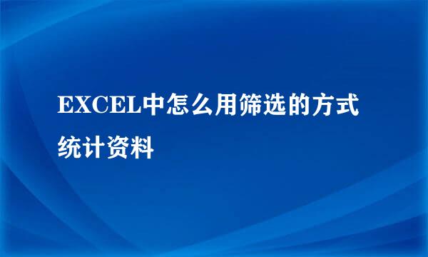 EXCEL中怎么用筛选的方式统计资料