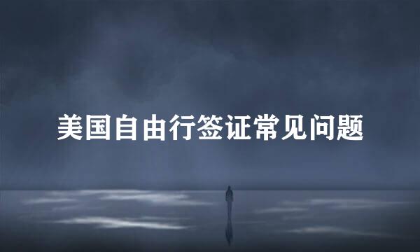 美国自由行签证常见问题