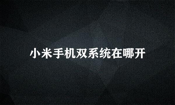 小米手机双系统在哪开