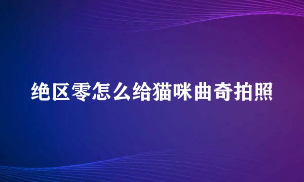 绝区零怎么给猫咪曲奇拍照
