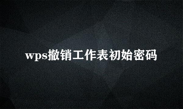 wps撤销工作表初始密码