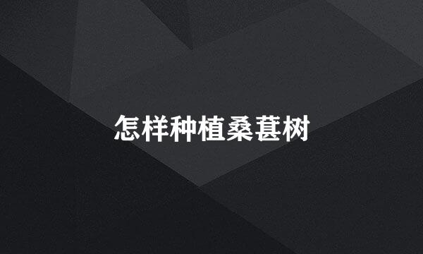 怎样种植桑葚树