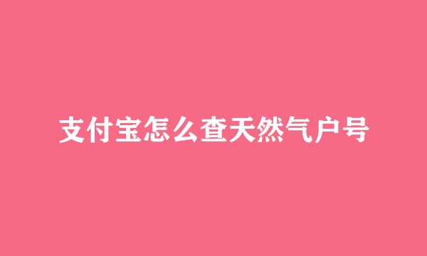 支付宝怎么查天然气户号