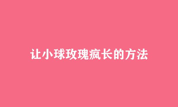 让小球玫瑰疯长的方法