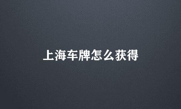 上海车牌怎么获得